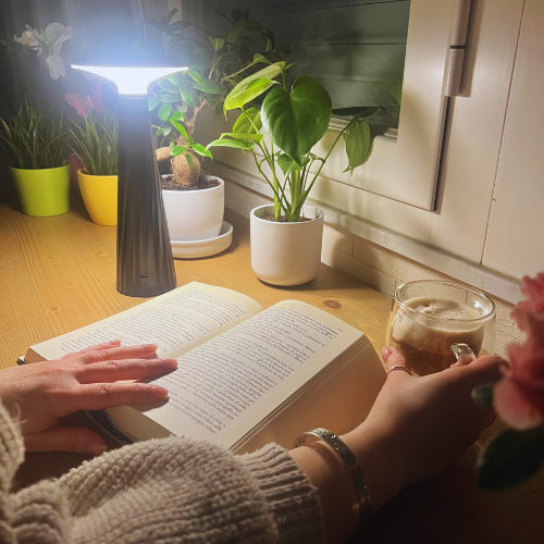 Brio lampada da tavolo ricaricabile USB