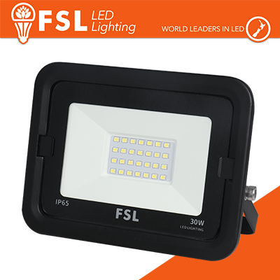 Proiettore per esterni Nero 30W - IP65 115° 6500K