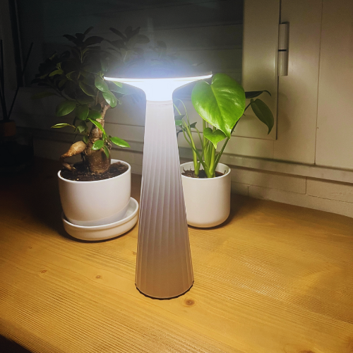 Brio lampada da tavolo ricaricabile USB