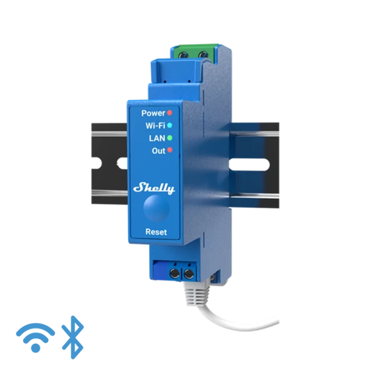 Shelly Pro 1
