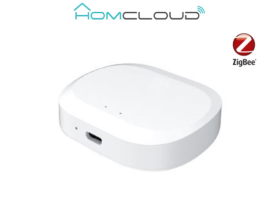 Centralina intelligente Hub - Zigbee+Bluetooth