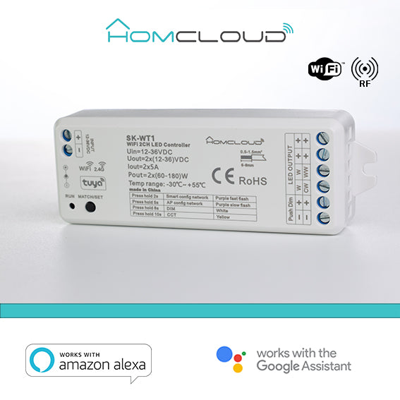 Ricevitore DIM +pulsante 12/36V DC,2CH*5A, Wi-Fi+RF 2.4G CCT